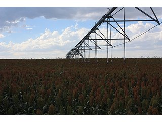 Property photo 84 - LAND AUCTION, 3255+/- Acres offered in 13 Tracts